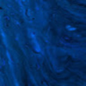 Meet your Posher, Zane